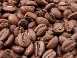 coffee plant seeds